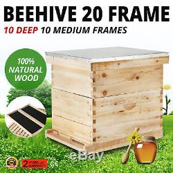 20-Frame Langstroth Bee Hive Complete Box Kit Free Shipping