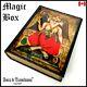 Box witchcraft kit starter ritual magic wicca pagan altar witch lucifer wood box