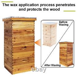 Langstroth Beehive 10 Wooden Frame Box Kit with Waxed Boxes, 2 Deep and 3 Medium