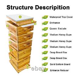 Langstroth Beehive 10 Wooden Frame Box Kit with Waxed Boxes, 2 Deep and 3 Medium