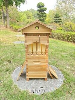 NEW Beehive Box Kit Bee Honey Hive +10 Frames Brood Natural Fir Wood Auto Frames