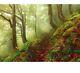 Woods Forest Slope Diamond Painting Design Lovely Scenery Portrait House Display